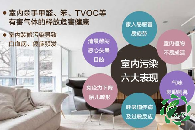 甲醛真可怕，貼壁紙竟然也會導致甲醛中毒