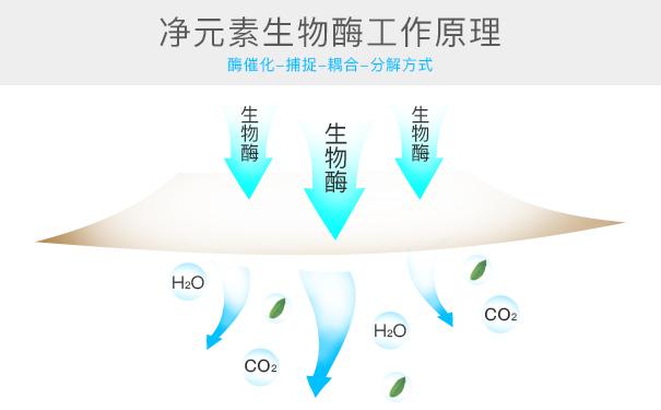 光觸媒、生物酶、空氣凈化器，哪家除甲醛公司效果好？